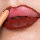 Astra Pure Beauty Lip Pencil Mahogany 01
