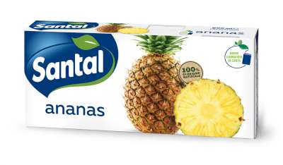 [san4233312] Santal Ananas 3 x 200 ml Brick